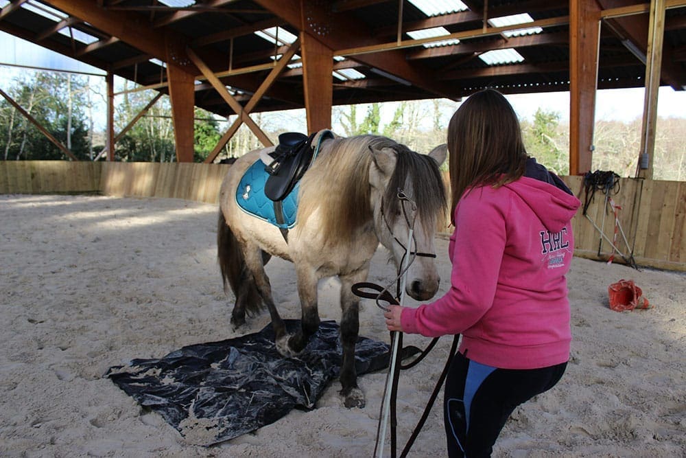 débourrage éducation du cheval Nous utilisons des embûches comme la bâche pour travailler la confiance et la franchise des chevaux.