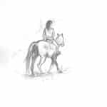 esquisse cavalier dessin les crinieres de l ouest