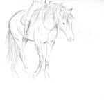 esquisse d'un cheval crinières de l'ouest