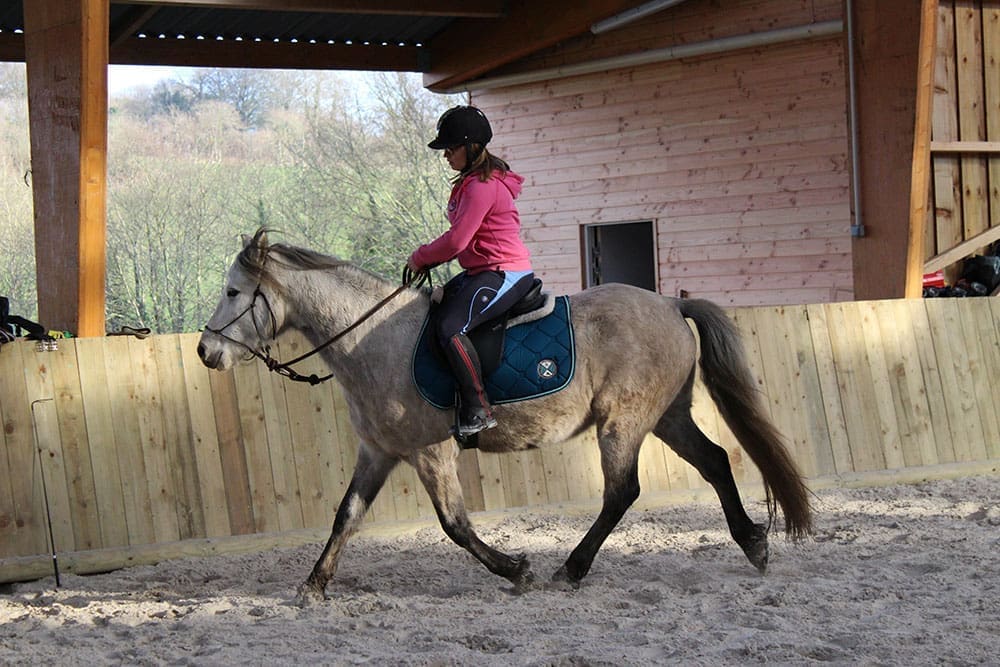 équitation sans mors Bretagne