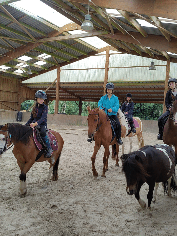 Des cours hebdomadaires d'équitation pour les jeunes cavaliers