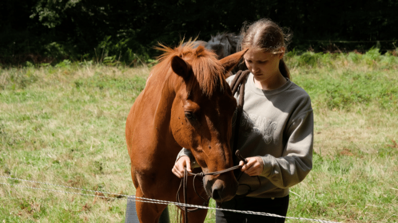 Une jeune cavalière partage un moment tendre avec Mistouf, son cheval, renforçant leur lien dans un environnement équestre paisible.