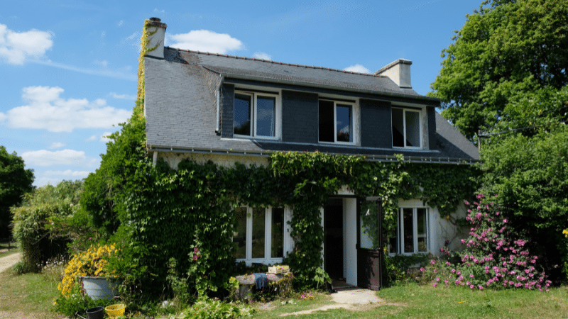 Maison en pierre couverte de végétation servant de gîte aux Crinières de l'Ouest.