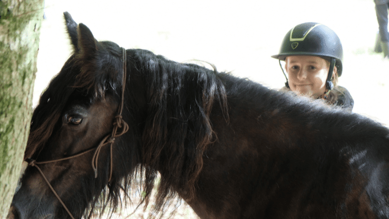 Gros plan sur Pollux, un poney noir au regard expressif, accompagné d’un enfant portant une bombe.