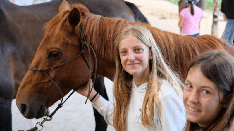 Un groupe d’adolescents partage un moment convivial autour d’activités équestres, mêlant jeux et complicité avec les chevaux dans un cadre naturel.