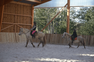 Le manège est sécurisé pour des séances dans la confiance manège des crinières de l'ouest