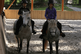 Les poneys vivement ensemble au pré et travaillent ensemble en toute quiétude photo cours équitation Les poneys vivement ensemble au pré et travaillent ensemble en toute quiétude