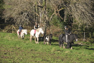 Balade en poney pour les enfants à l’occasion de chaque stage balade en poney morbihan